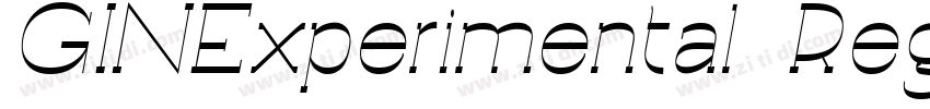 GINExperimental Regu字体转换